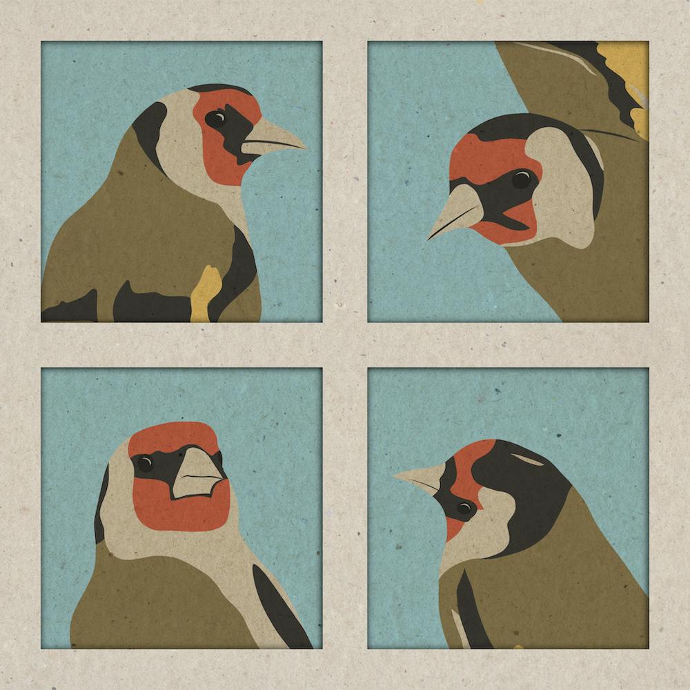 Four Goldfinches, birds, animals, illustration, wall art