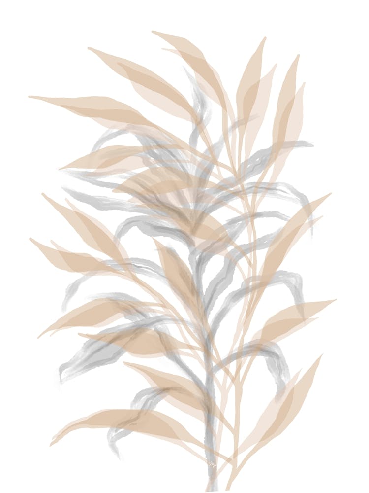 Silent Bamboo