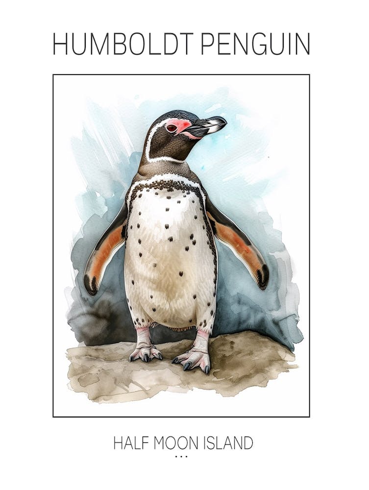 Humboldt Penguin Half Moon Island Watercolour Painting 2 Poster