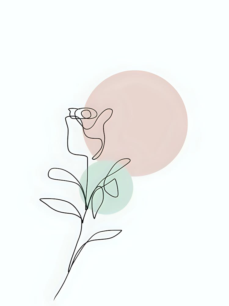 Single Rose