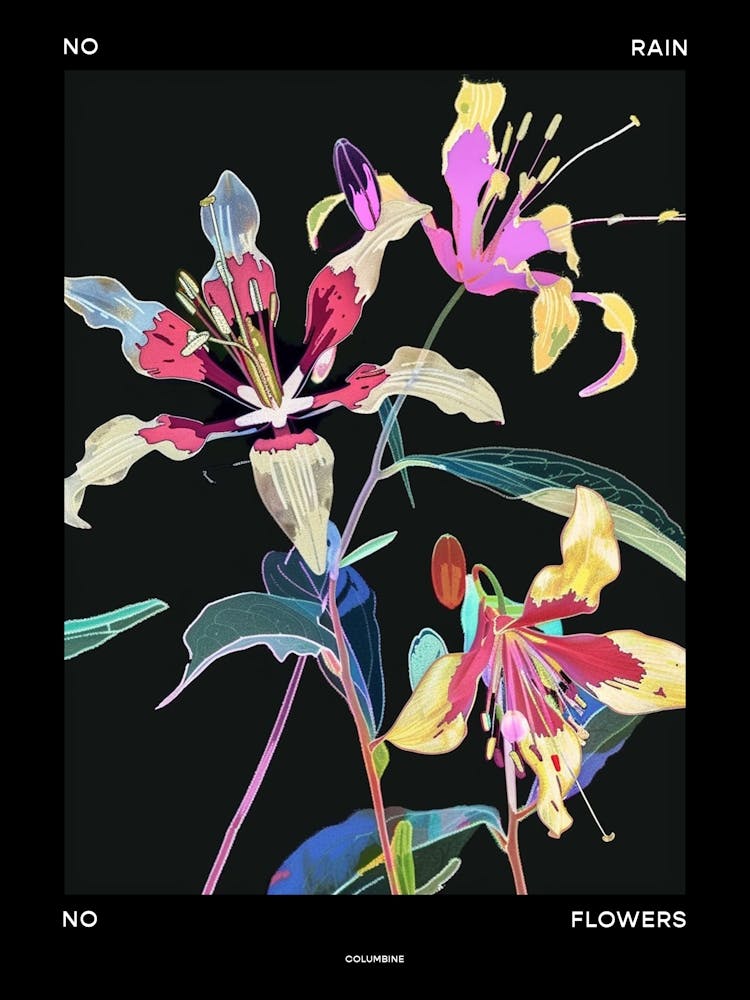 No Rain No Flowers Poster Columbine 4