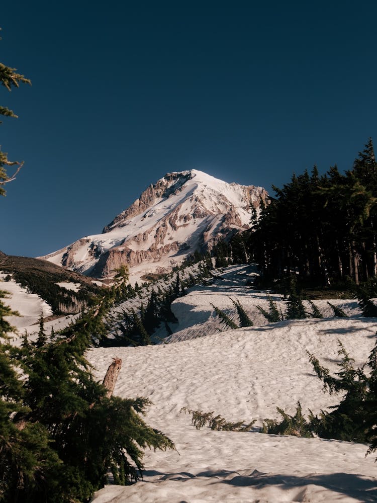 Snowy Mount Hood