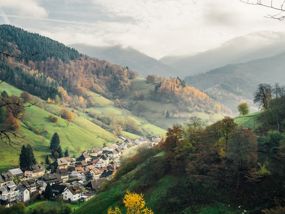 Schwarzwald en Automne