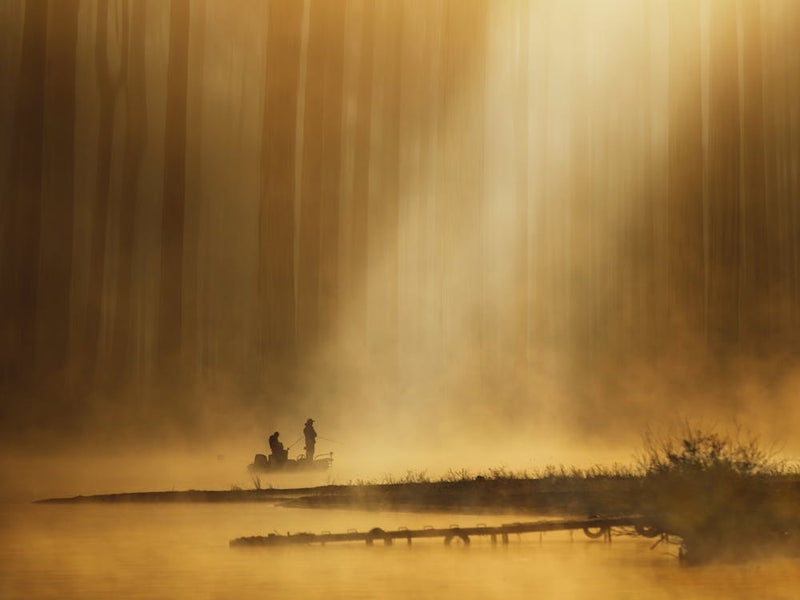 Golden Silence