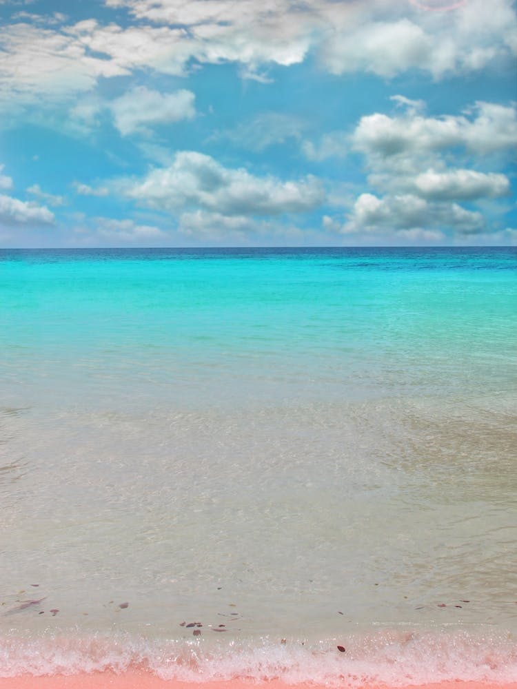 Tropical Paradise In