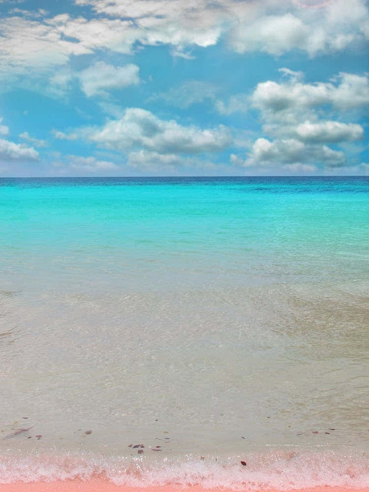 Tropical Paradise In