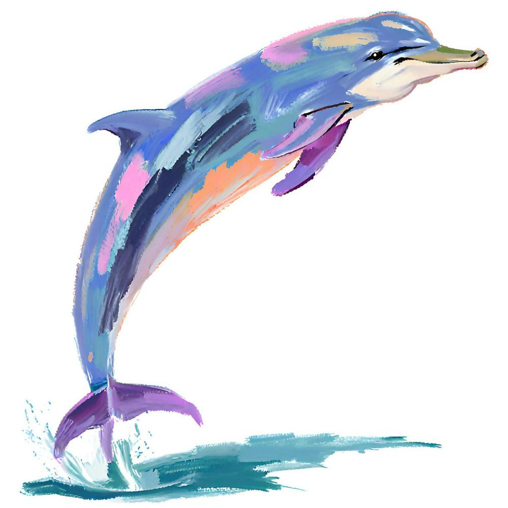 Bottlenose Dolphin 01