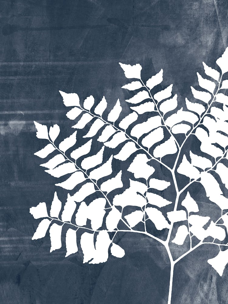 Fern Leaves in Navy Blue, Farmhouse Botanical 1