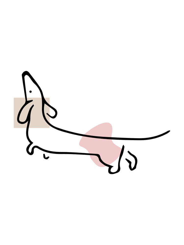 Dachshund Cute Dog - Line Art