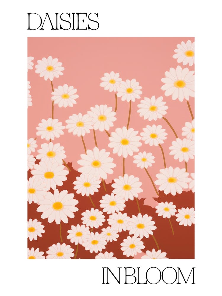 Daisies In Bloom Flowers Bold Illustration 3