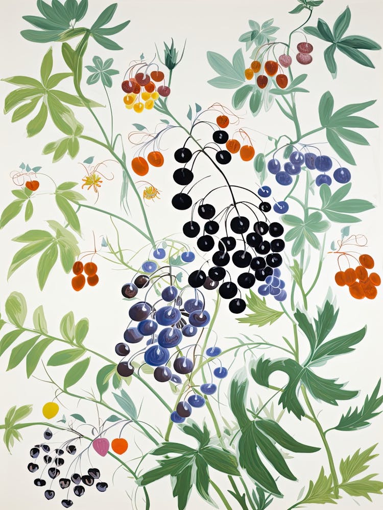 Gooseberry Fruit Drawing 3