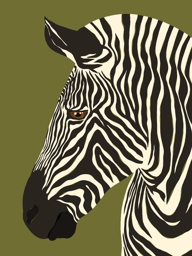 Jungle Safari Zebra on Green