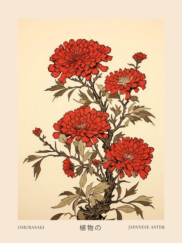 Omurasaki Japanese Aster 2 Vintage Japanese Botanical Poster