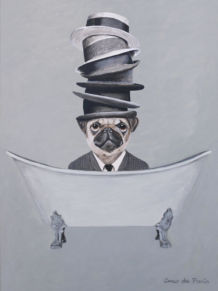 Pug With Stacked Hats In Bathtub