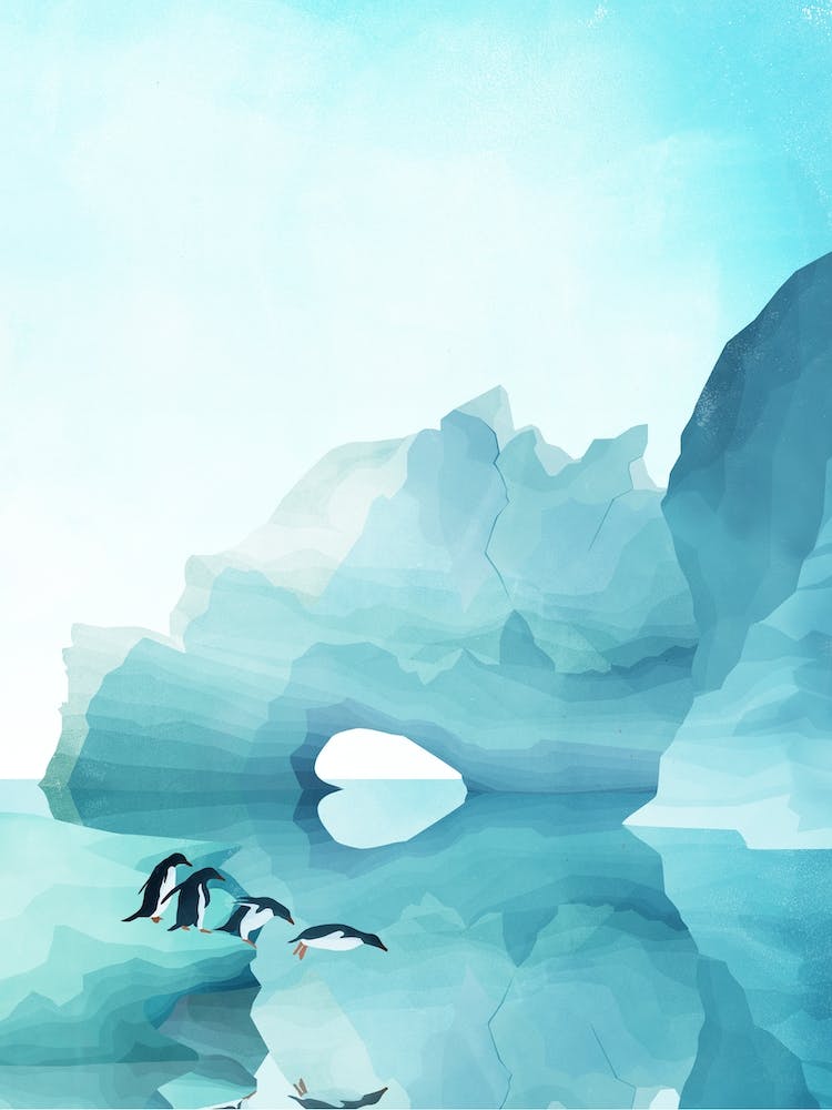 Penguins by Day