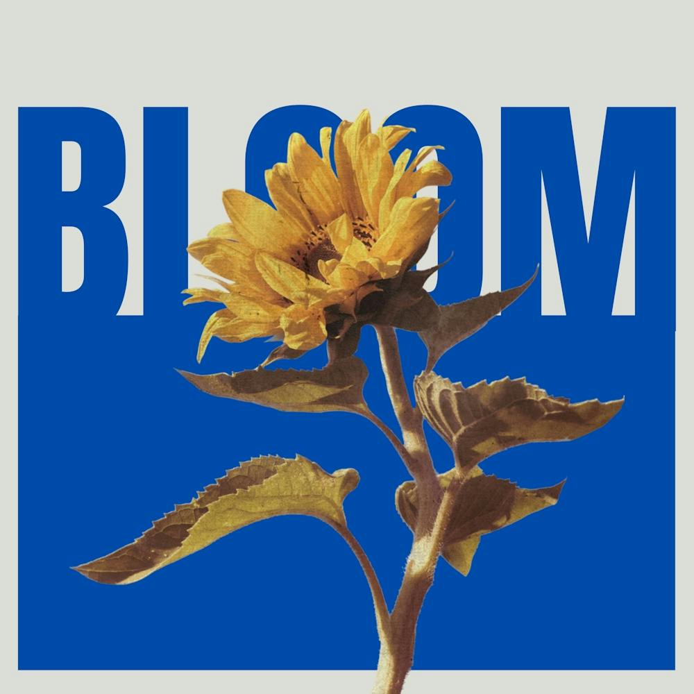 Bloom 3