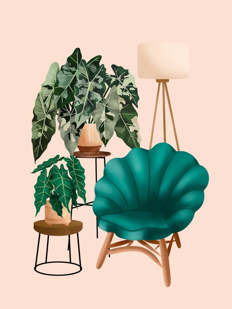 Plant Corner 9