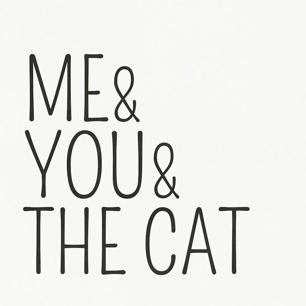 Me And You And The Cat