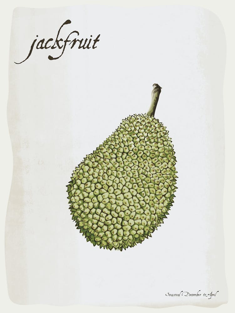 Jackfruit Vintage illustration Print