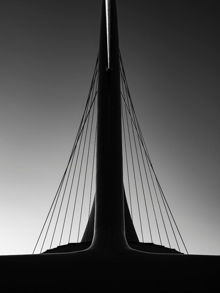 modernus Black & White