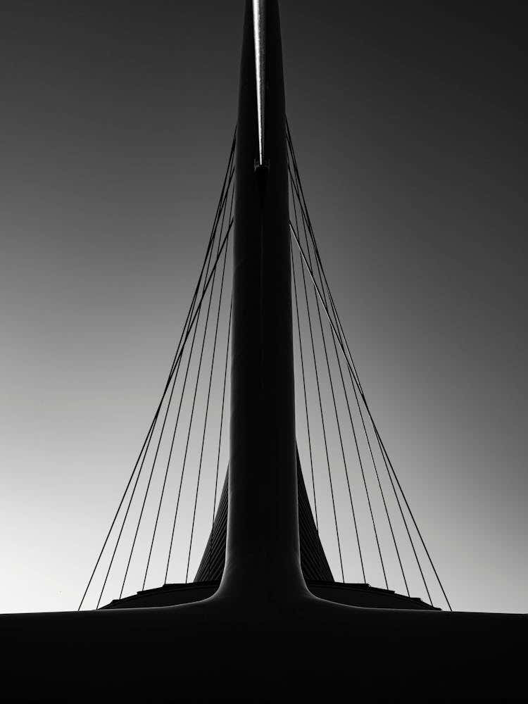 modernus Black & White