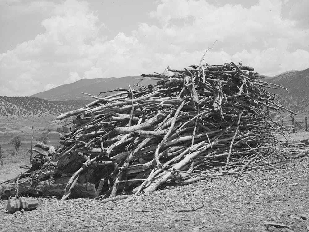 Wood Supply Of Spanish American Farmer, Amalia, New Mexico By Russell Lee