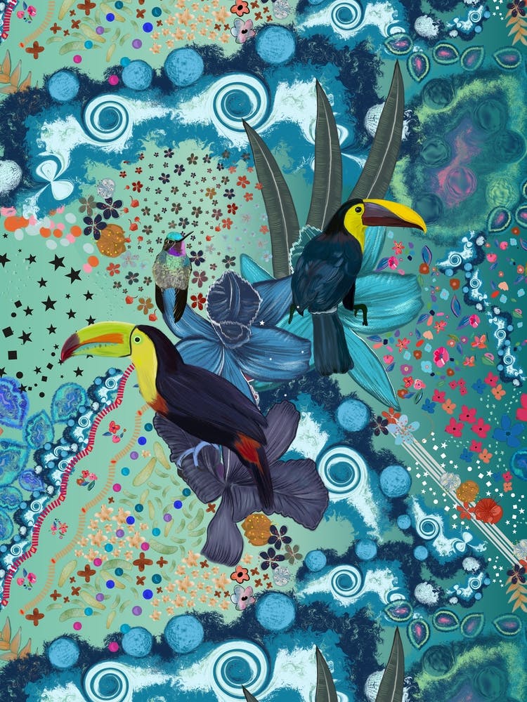 Toucan Humming Bird