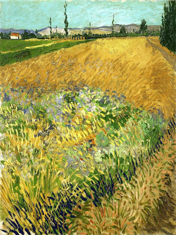 Wheat Field By Vincent Van Gogh 2