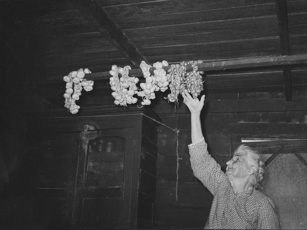 Old Cajun Woman Reaching For Strings Of Garlic Suspended From Rafters, Near Crowley, Louisiana By Russell Lee