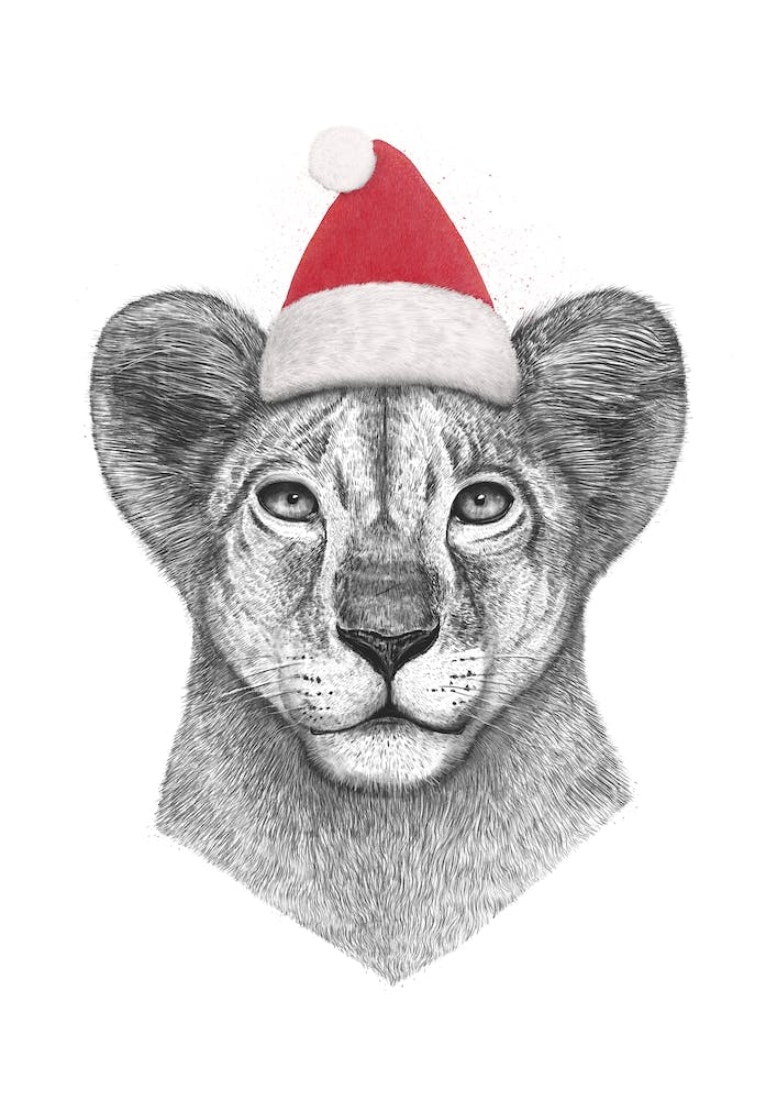 Prince Lion de Noël
