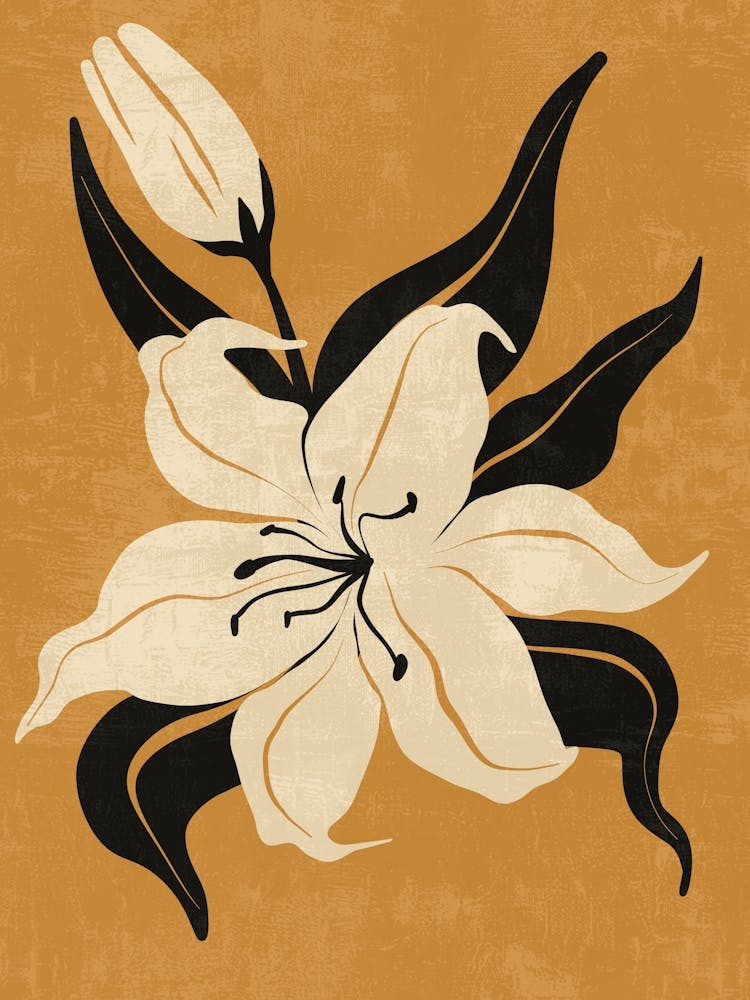 Lily