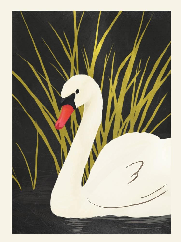 Swan 1