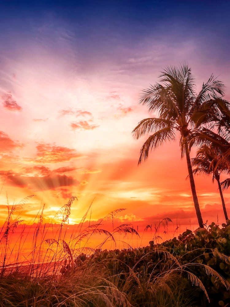 Bonita Beach Gorgeous Sunset