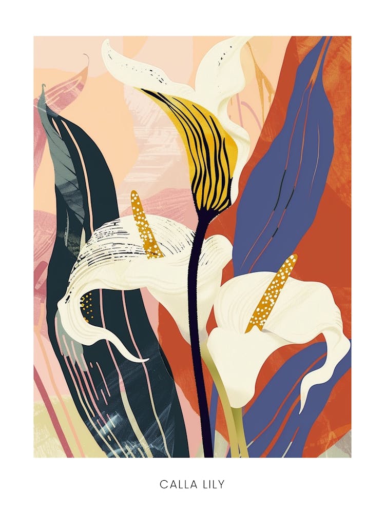 Colourful Flower Illustration Poster Calla Lily 2