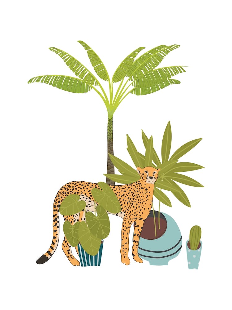 My Urban Jungle Cat 1