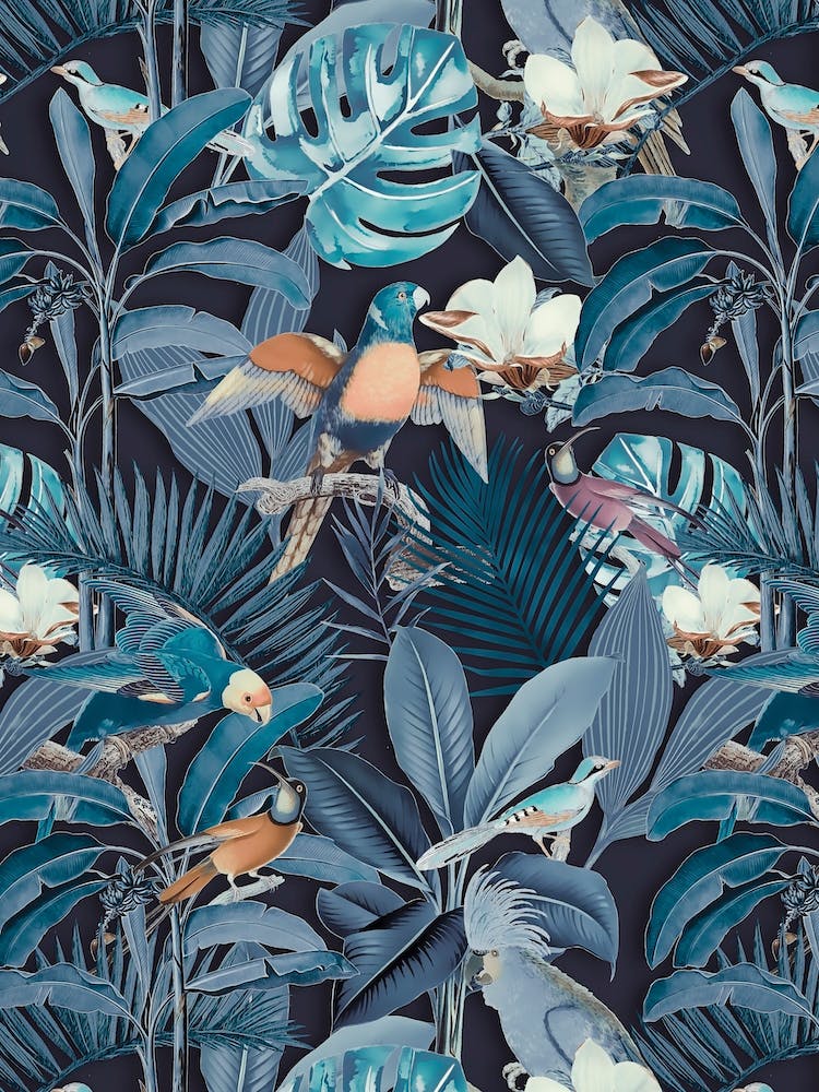 Tropical Midnight Birds
