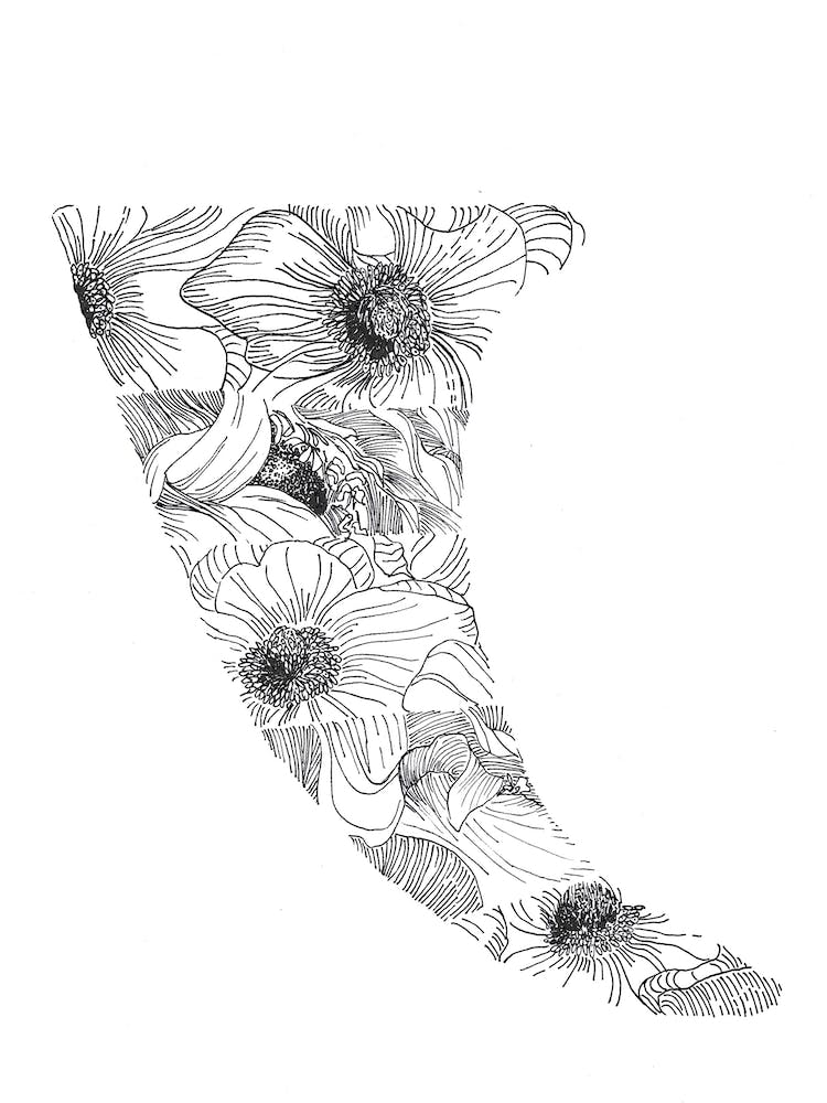 Salt&Surf   Flower Fin