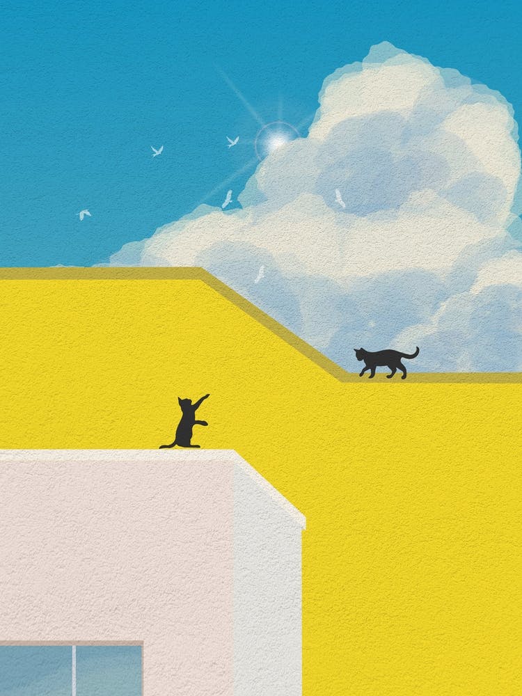 Minimal art Cat On Yellow The Roof