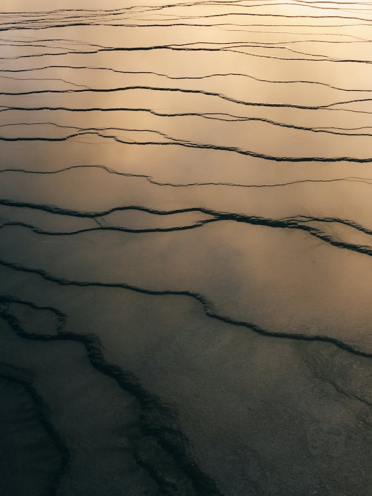 Sunset golden hour colors on an abstract detail shot of Yellowstone National Park