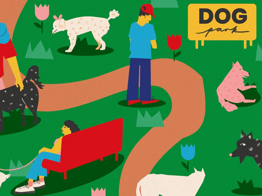 Dog Park