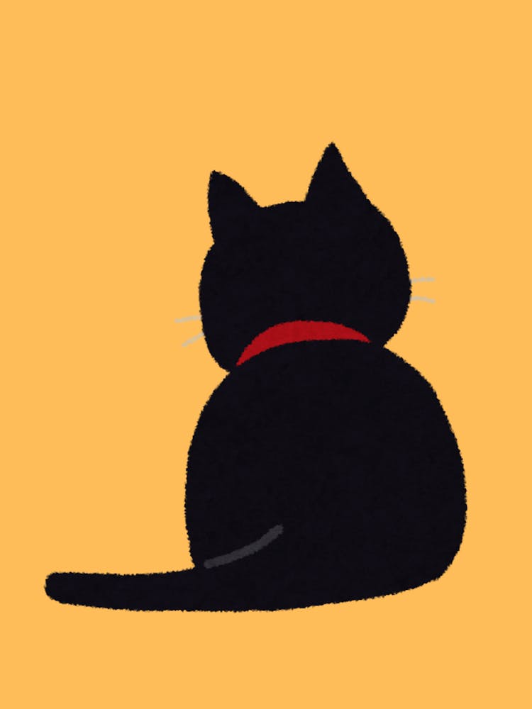 Black Cat black cat