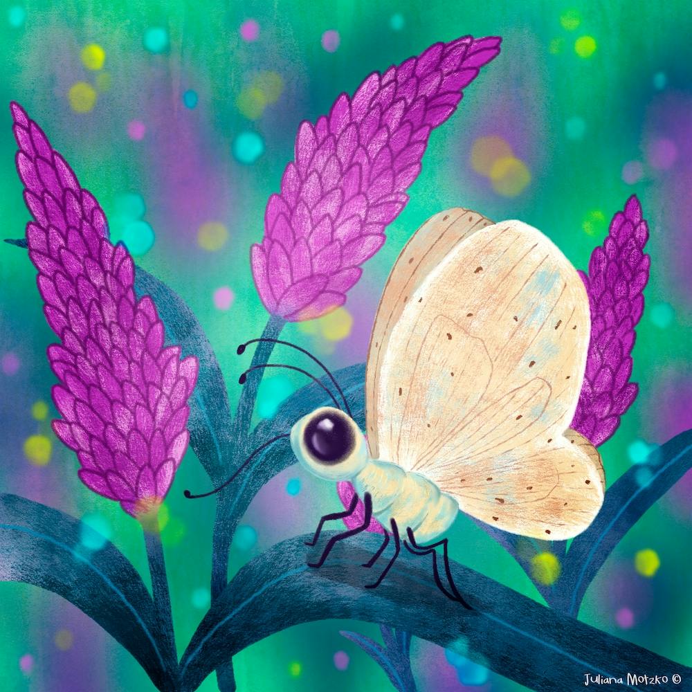 Butterfly Square