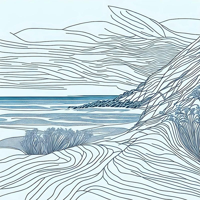 Sand Dunes 3