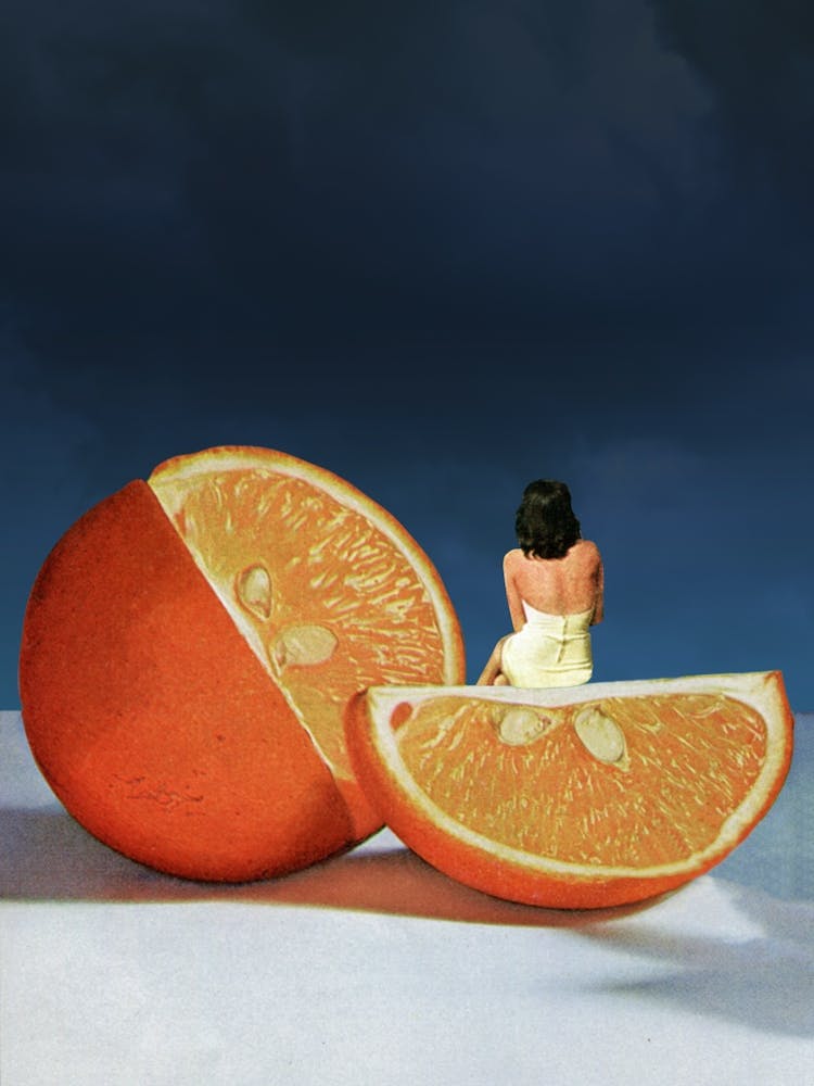 Still Life