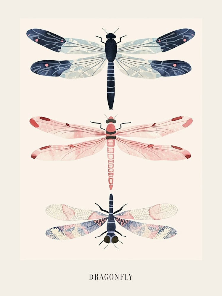 Colourful Insect Illustration Dragonfly 2 Poster