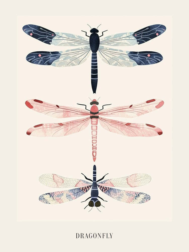 Colourful Insect Illustration Dragonfly 2 Poster