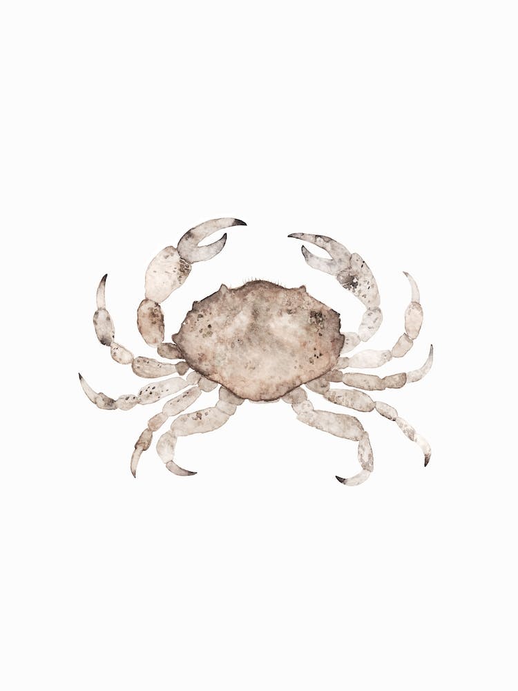 Crab