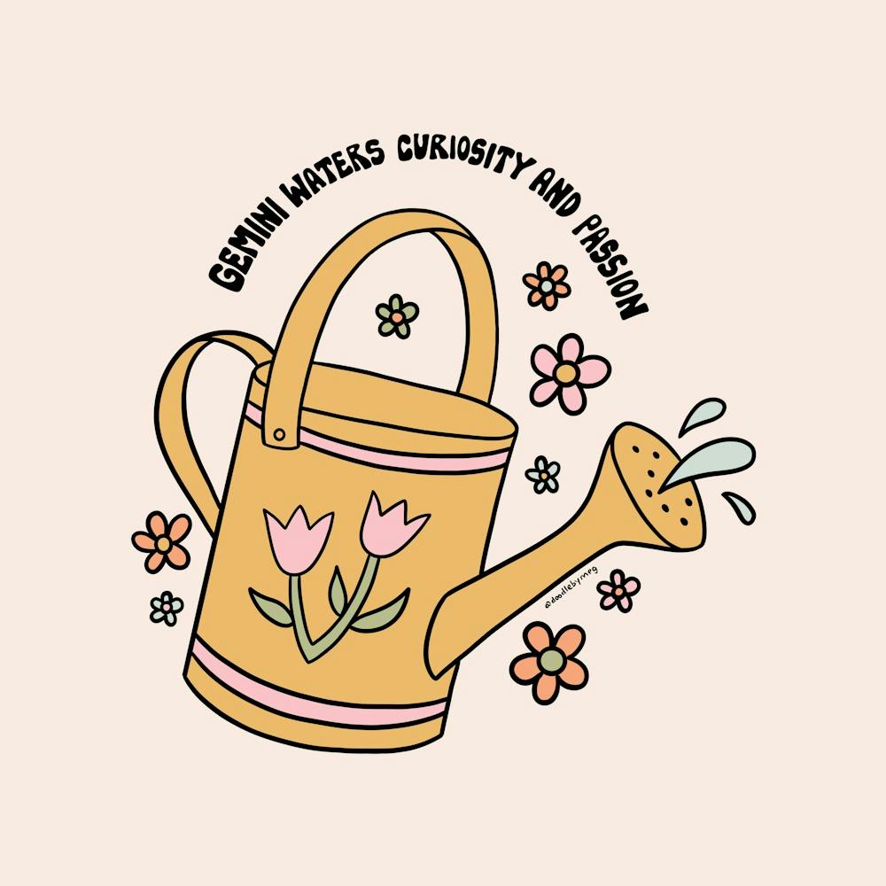 Gemini Watering Can