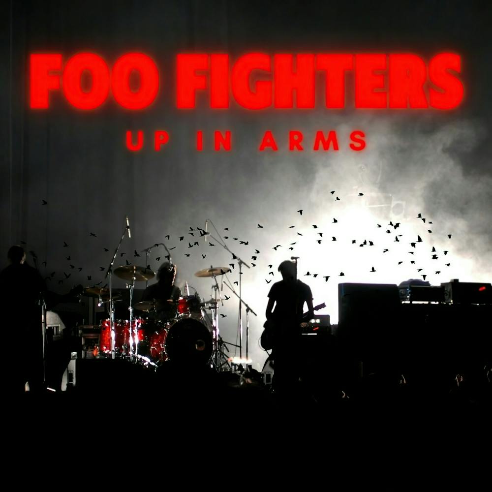 Foo Fighter Album (20)