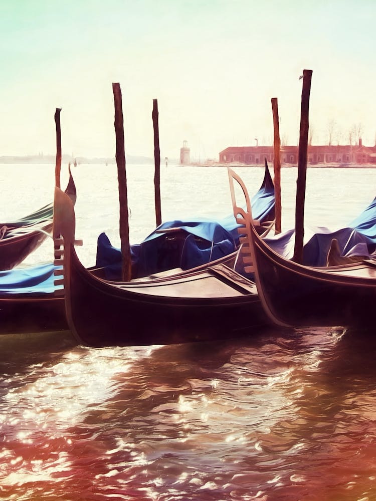 Waterfront Gondola Prows Venice